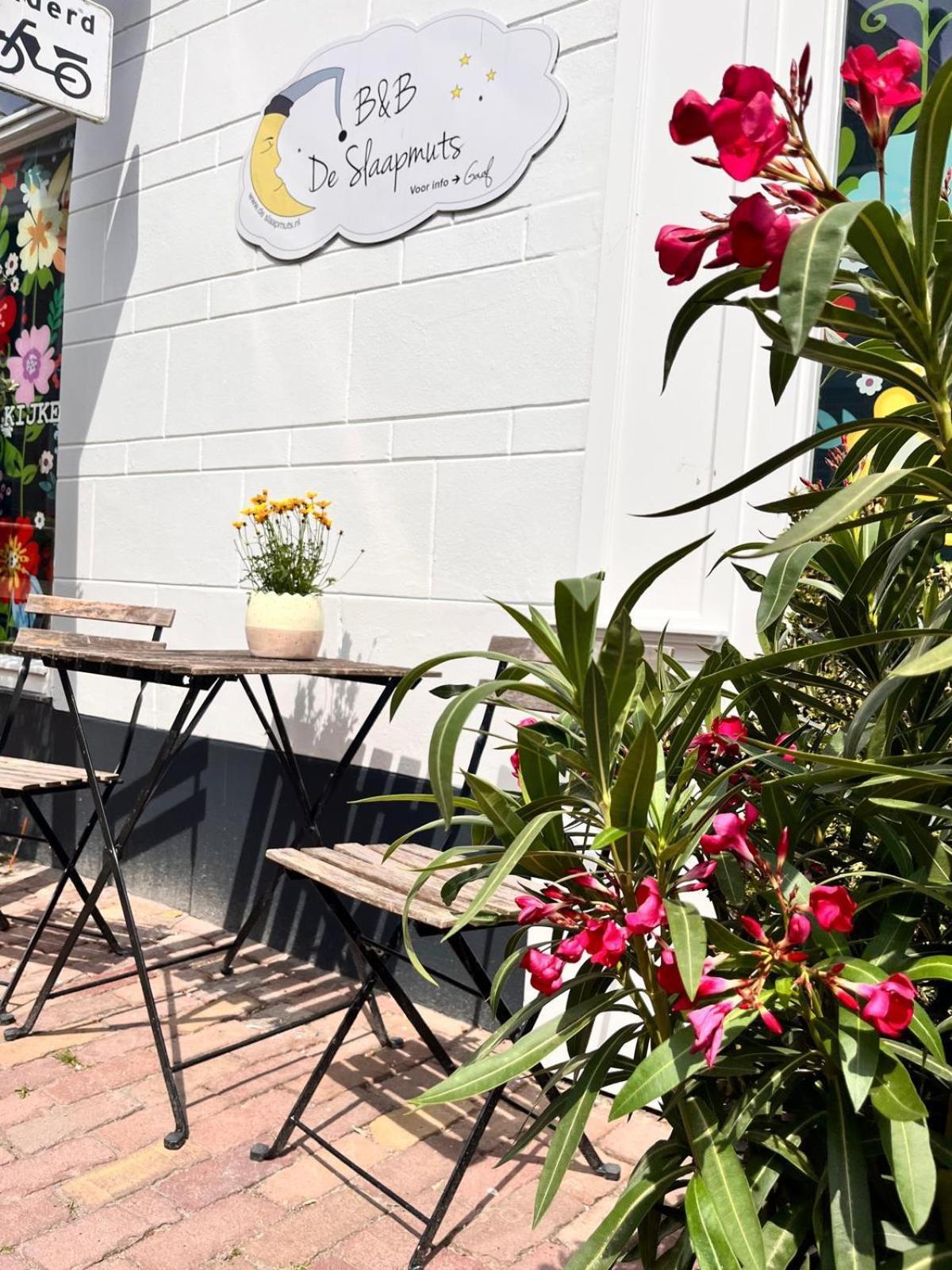 De Slaapmuts Bed and Breakfast Winsum  Εξωτερικό φωτογραφία